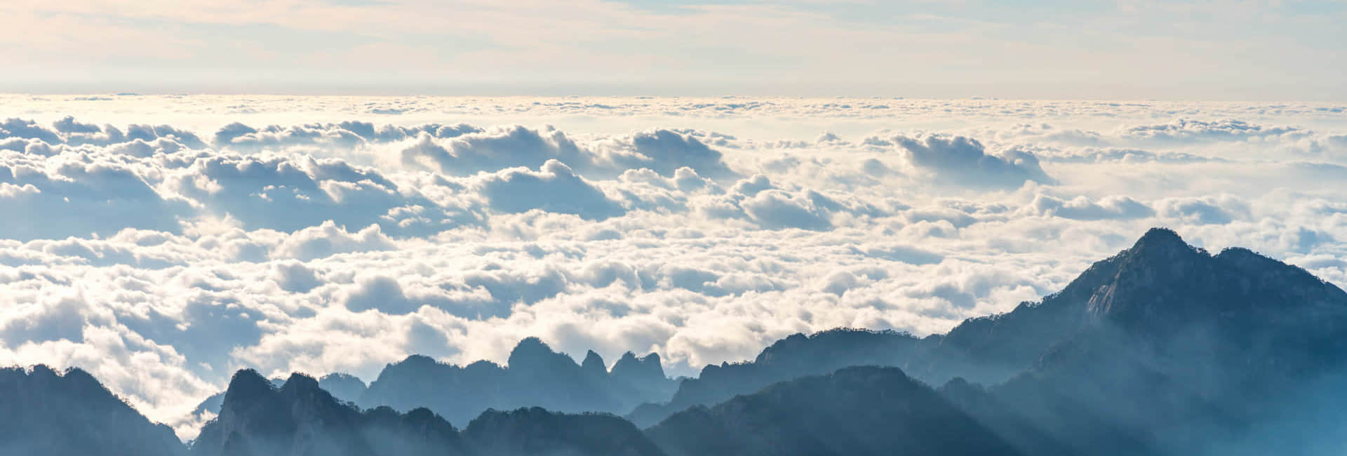 乐鱼网页版登录入口_乐鱼（中国）简介